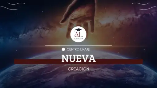 Nova Criação